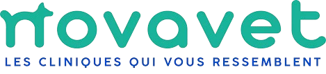 Novavet